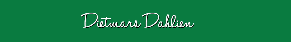 2020 - Dietmar-Dahlien.de
